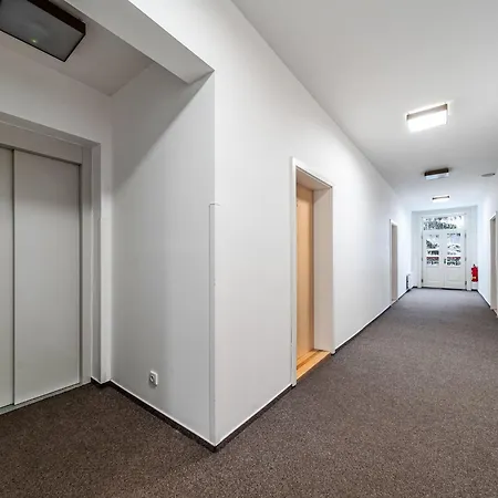 Jansky Potok I-7 By Interhome Lejlighed Janské Lázně